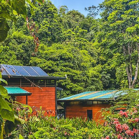卡维塔Selva Madre Eco-Sanctuary公寓式酒店 外观 照片