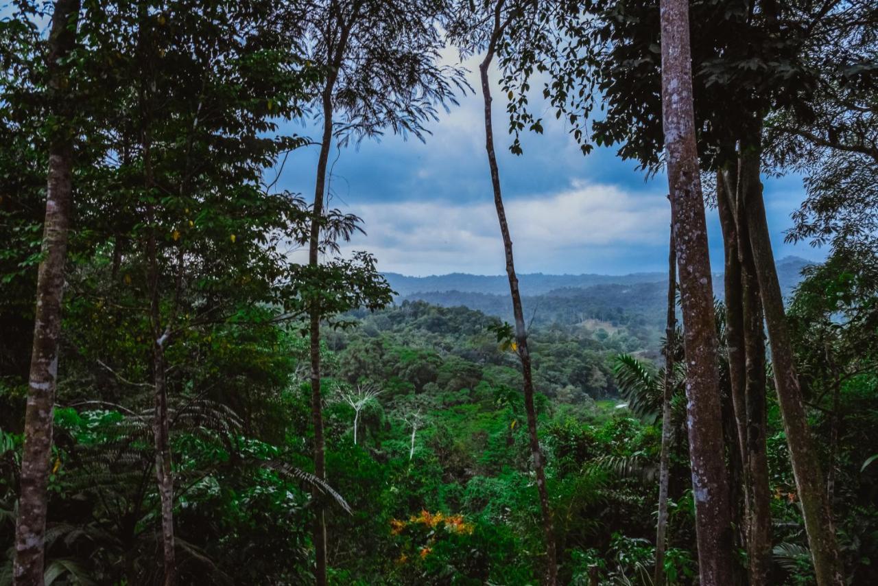 卡维塔Selva Madre Eco-Sanctuary公寓式酒店 外观 照片