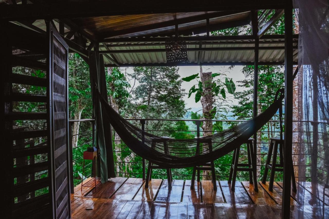 卡维塔Selva Madre Eco-Sanctuary公寓式酒店 外观 照片