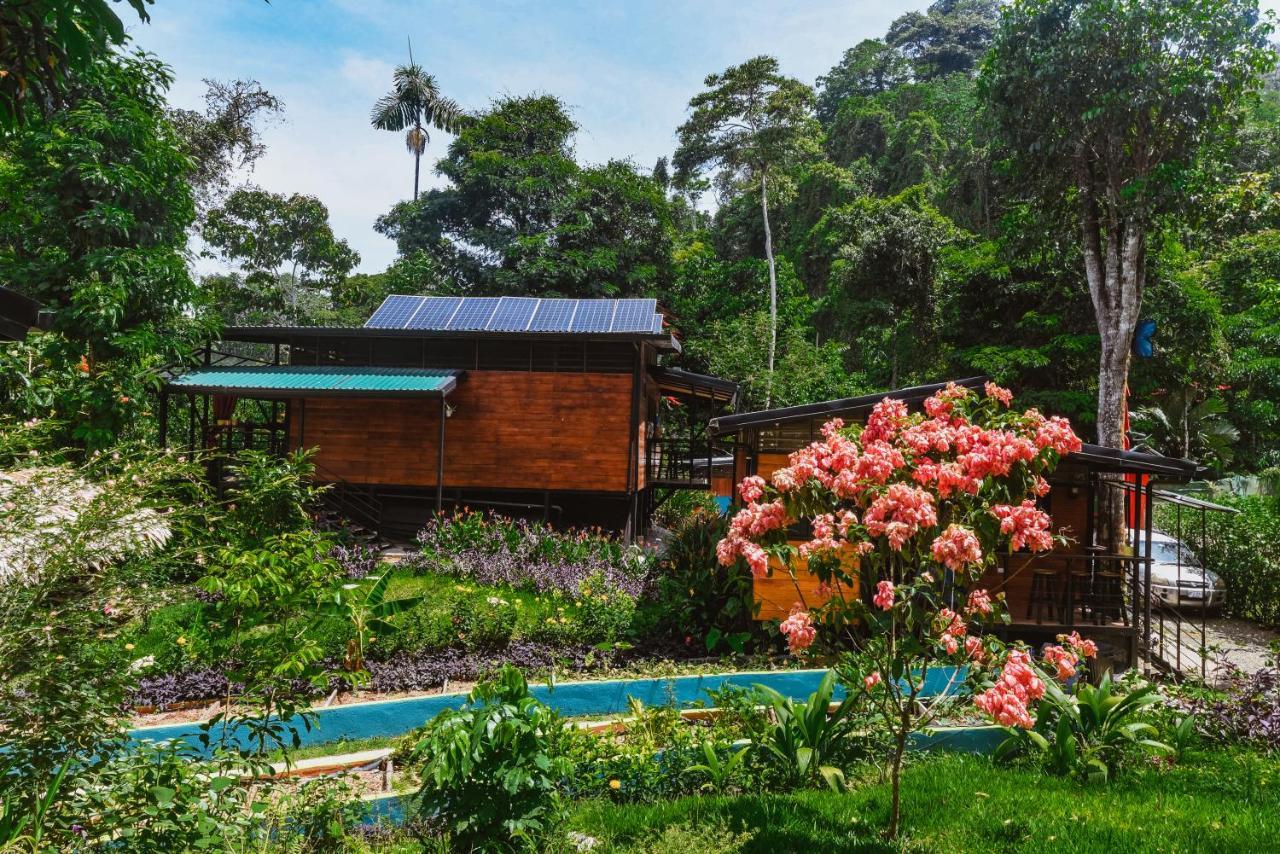 卡维塔Selva Madre Eco-Sanctuary公寓式酒店 外观 照片