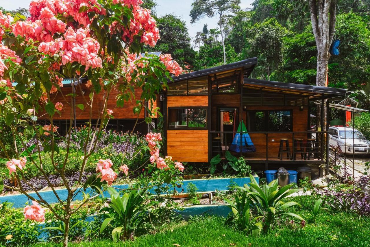 卡维塔Selva Madre Eco-Sanctuary公寓式酒店 外观 照片