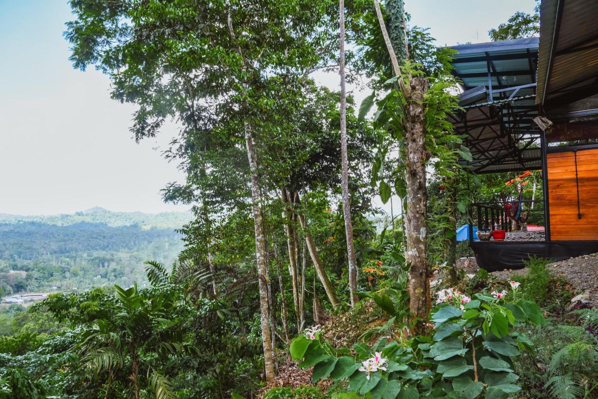 卡维塔Selva Madre Eco-Sanctuary公寓式酒店 外观 照片