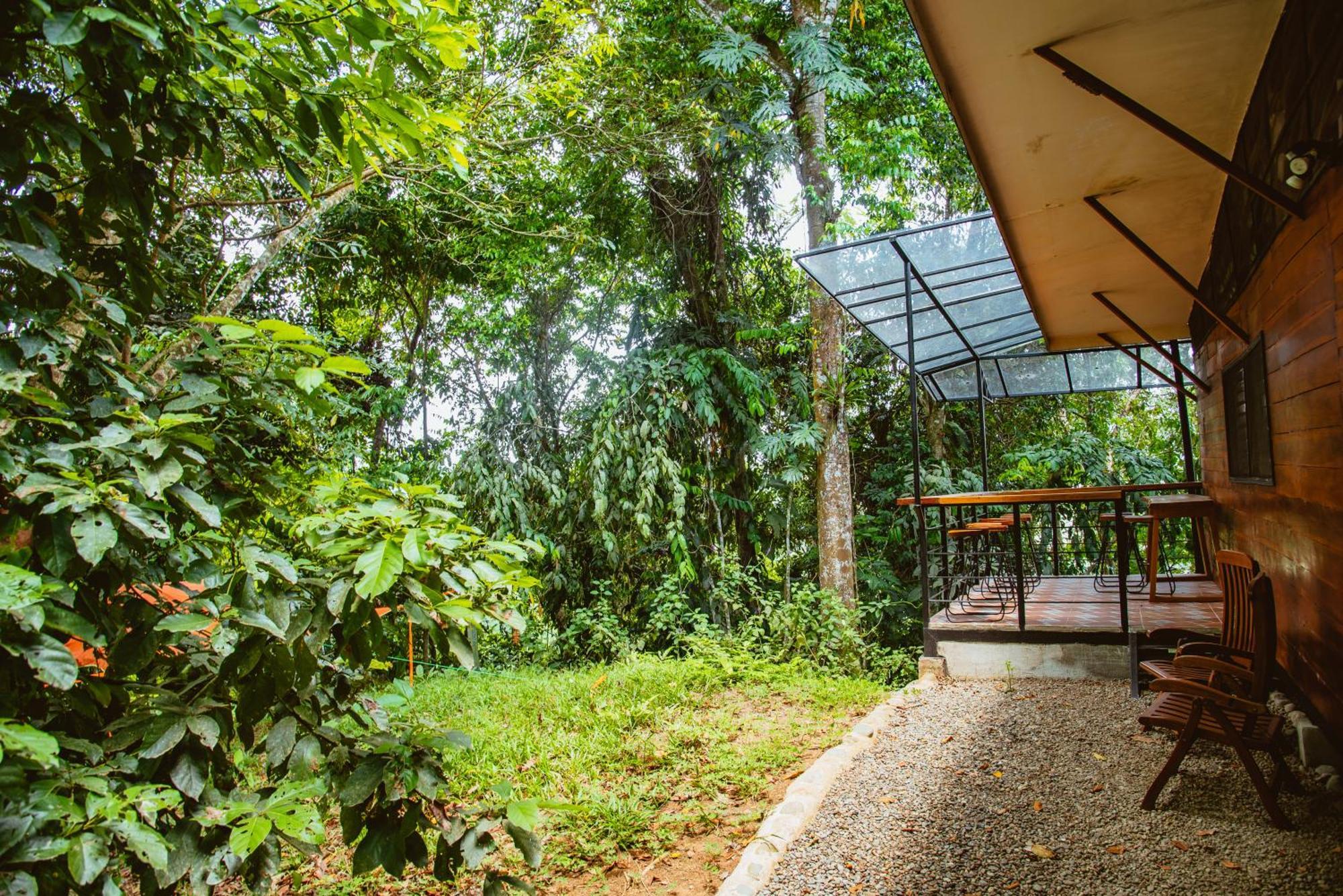 卡维塔Selva Madre Eco-Sanctuary公寓式酒店 外观 照片