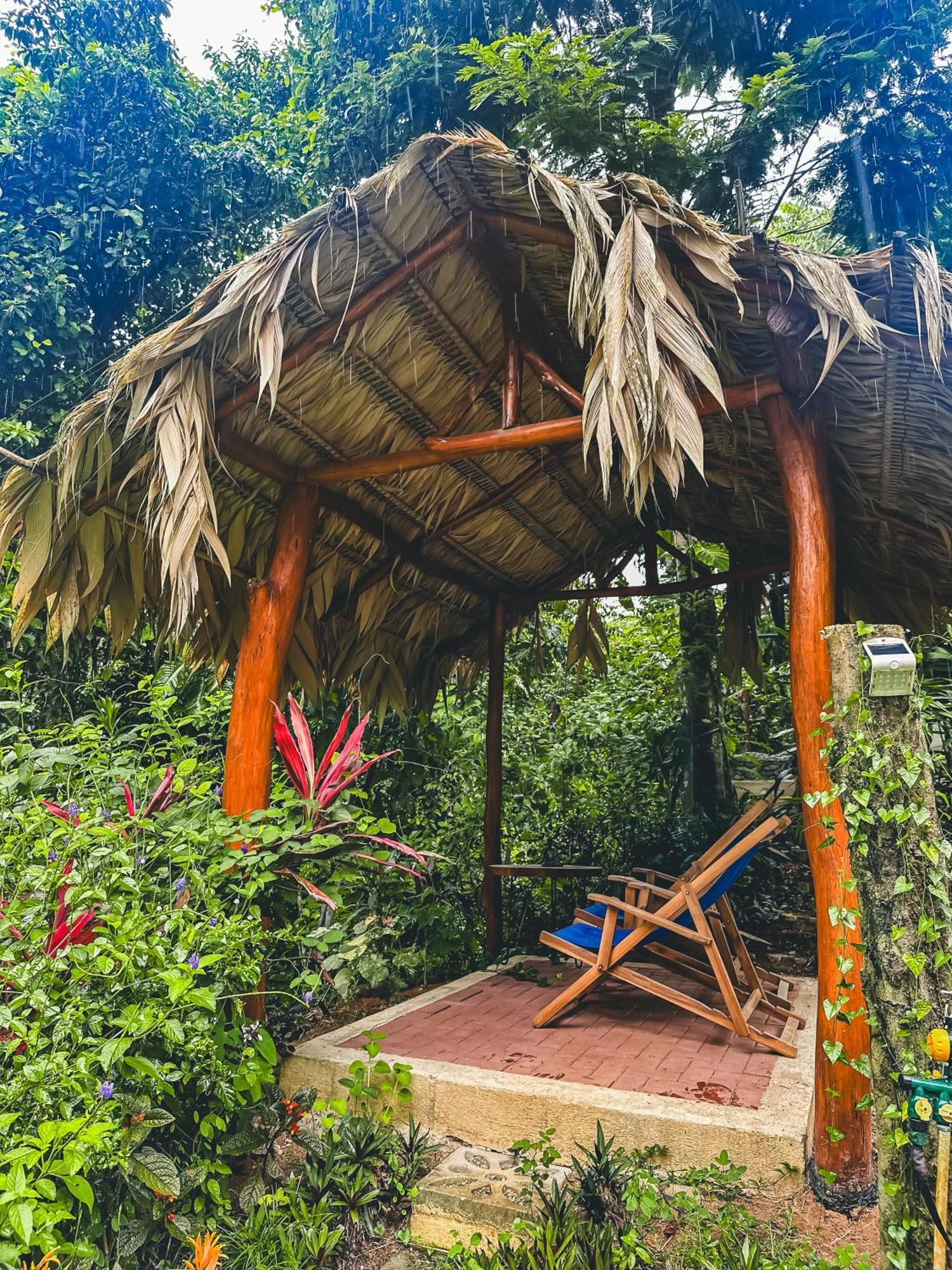 卡维塔Selva Madre Eco-Sanctuary公寓式酒店 外观 照片