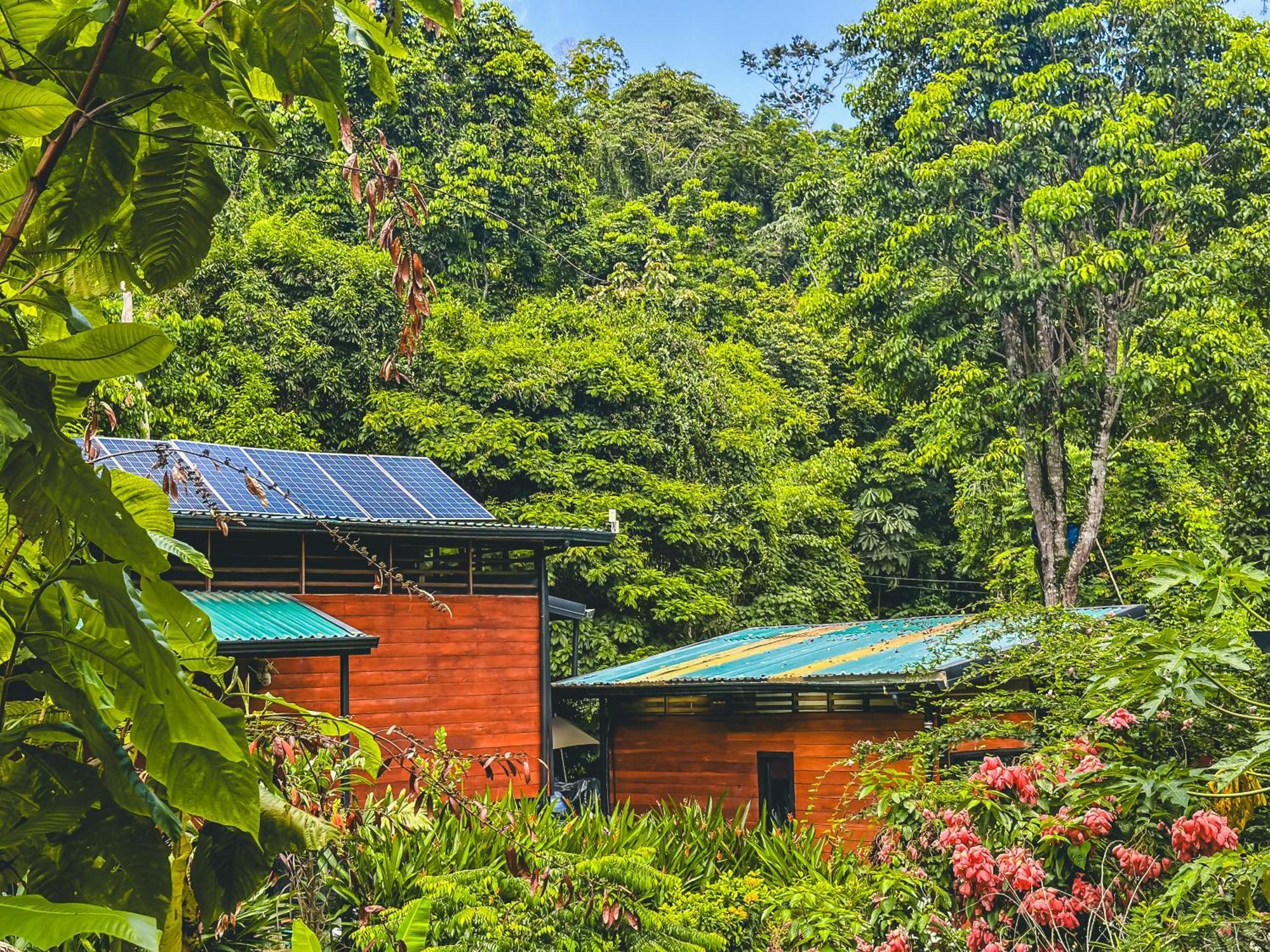 卡维塔Selva Madre Eco-Sanctuary公寓式酒店 外观 照片
