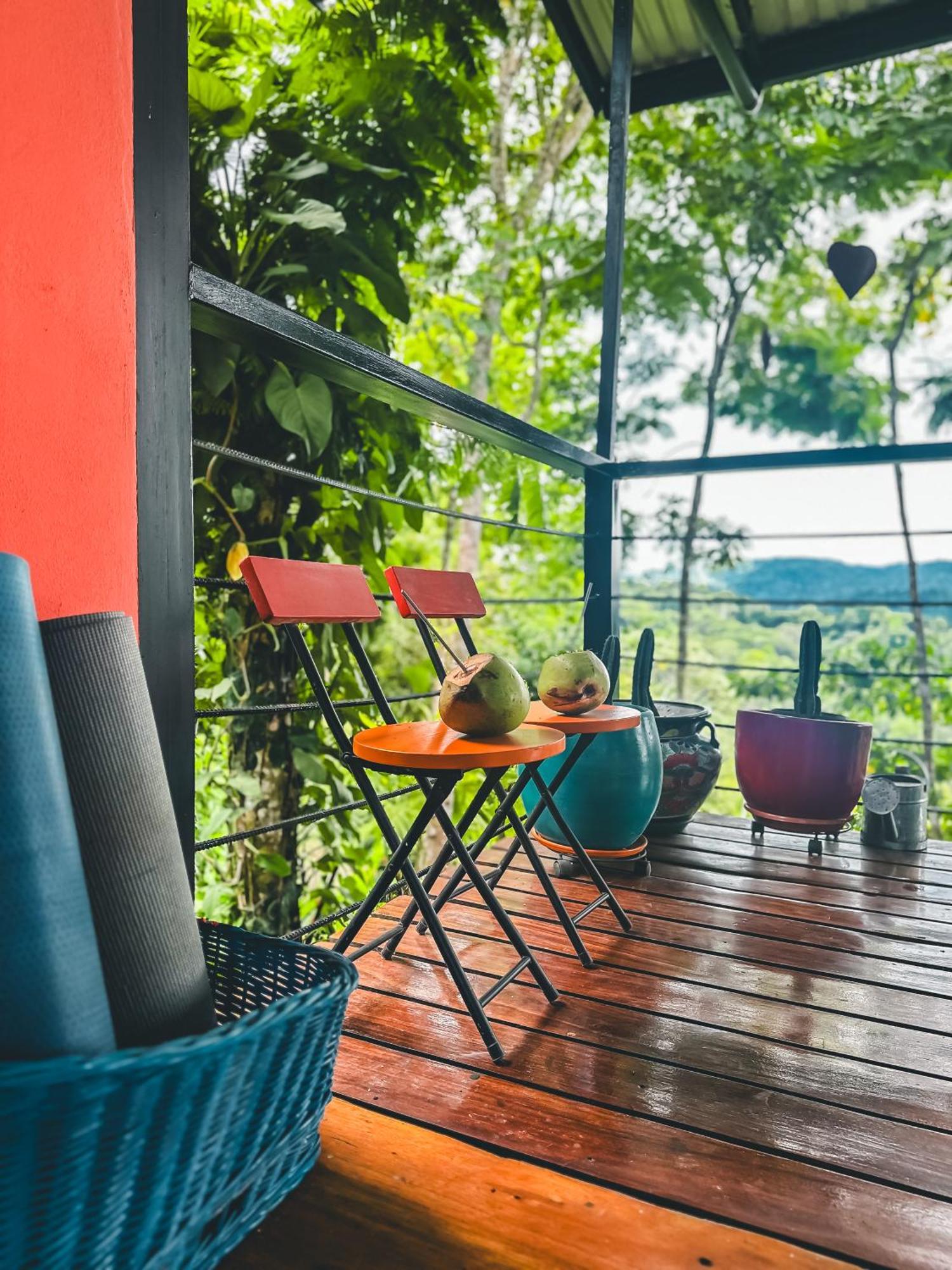 卡维塔Selva Madre Eco-Sanctuary公寓式酒店 外观 照片