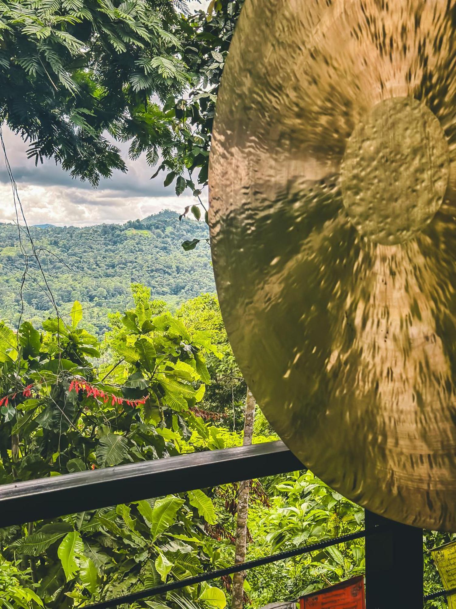 卡维塔Selva Madre Eco-Sanctuary公寓式酒店 外观 照片