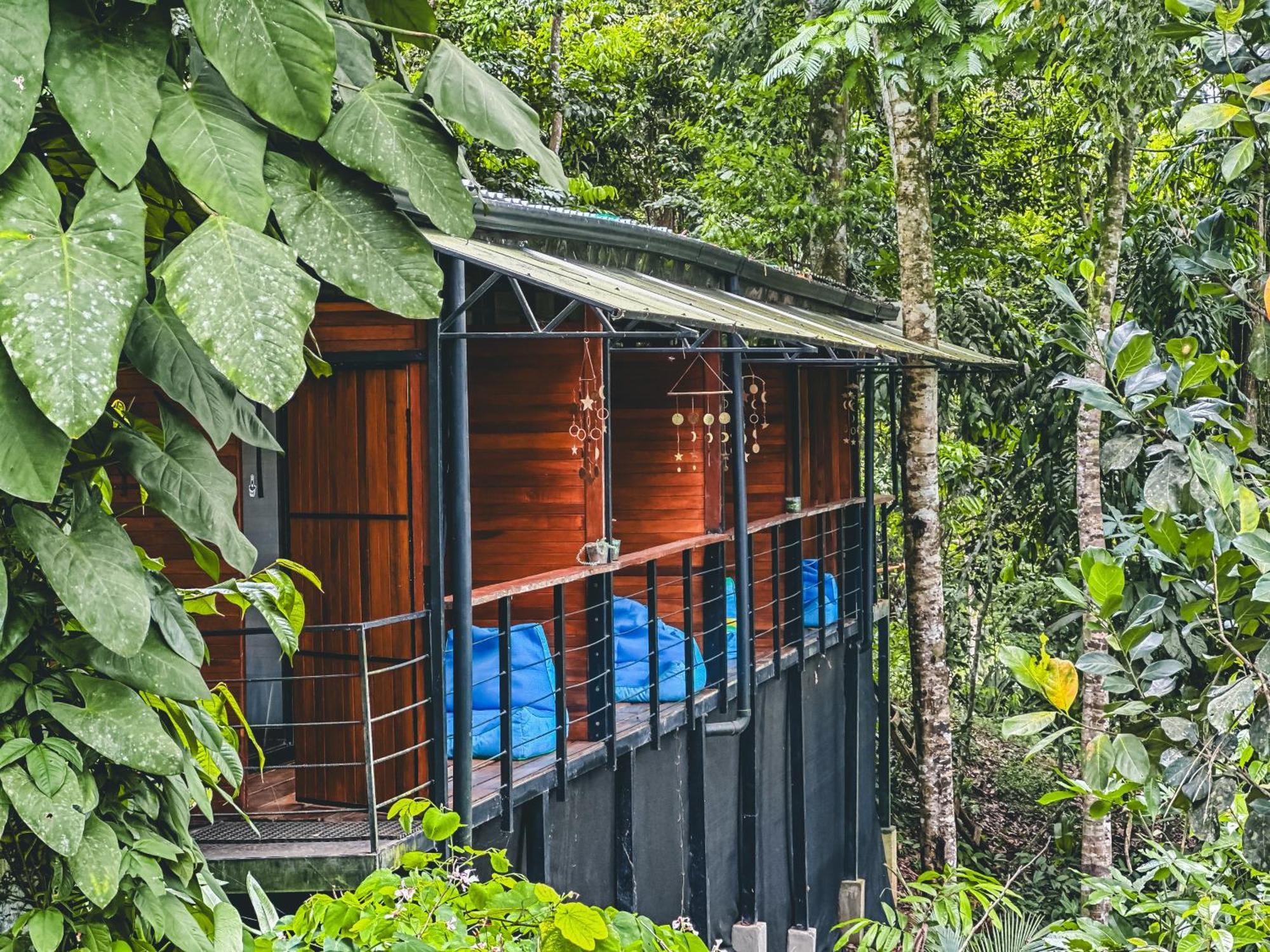 卡维塔Selva Madre Eco-Sanctuary公寓式酒店 外观 照片